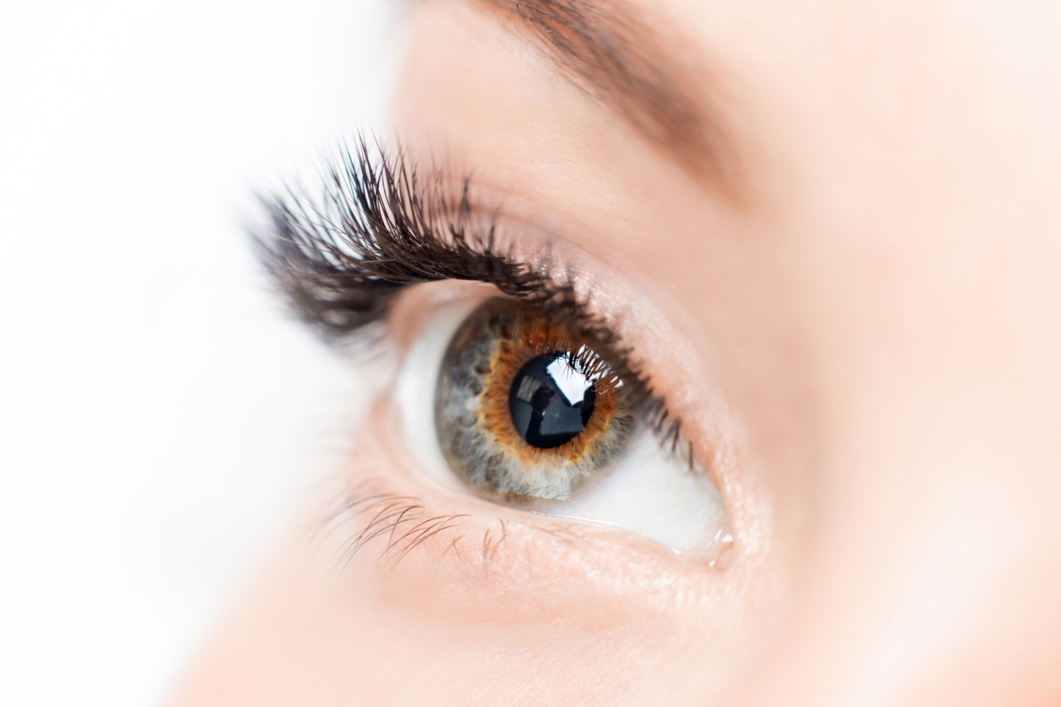Eyelashes extensions procedure in spa beauty salon. Macro Beautiful eye with makeup
